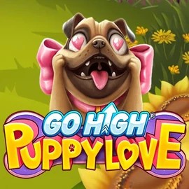Go High Puppy Love casino game by RubyPlay – featured logo at Casino Prestige